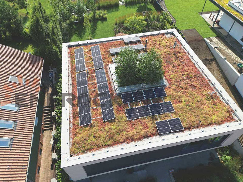 Green roof mounting system